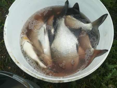 Райское место