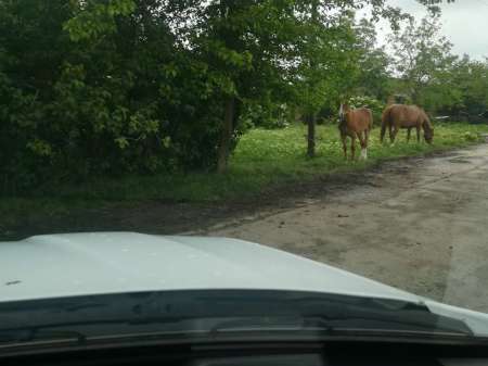 Райское место