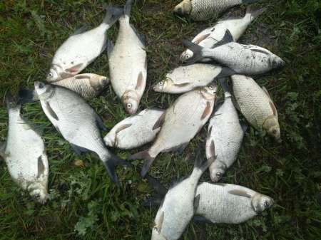 Райское место