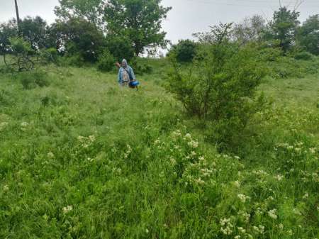 Райское место