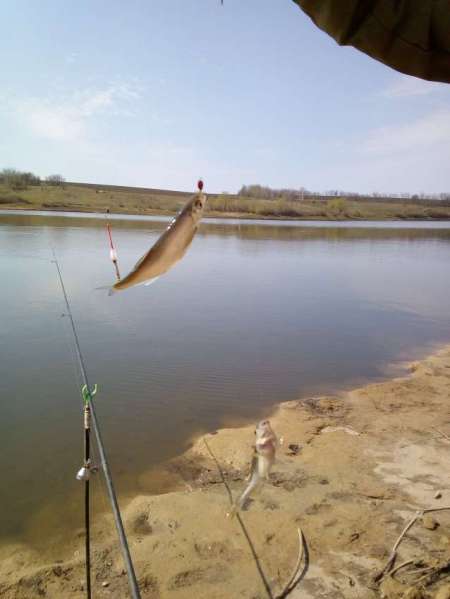 Рыбалка на пруду Агеевский Рыбалка на пруду Агеевский
