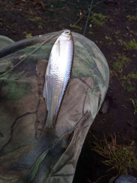 Рыбалка на пруду Агеевский Рыбалка на пруду Агеевский