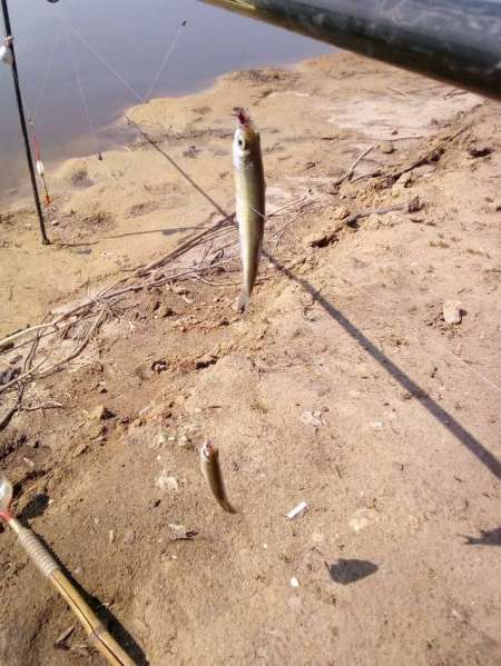 Рыбалка на пруду Агеевский Рыбалка на пруду Агеевский