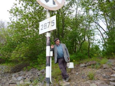 Селёдка в тумане