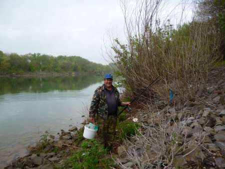 Селёдка в тумане