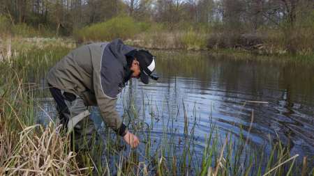 Шитики - лучшая насадка на фидер весной
