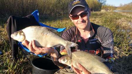 Шитики - лучшая насадка на фидер весной