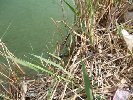 Снова в бой!