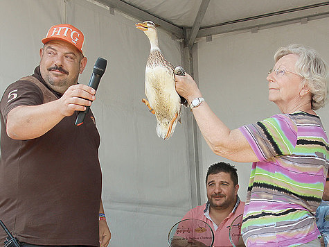 Соло на берегу Ла-Манша