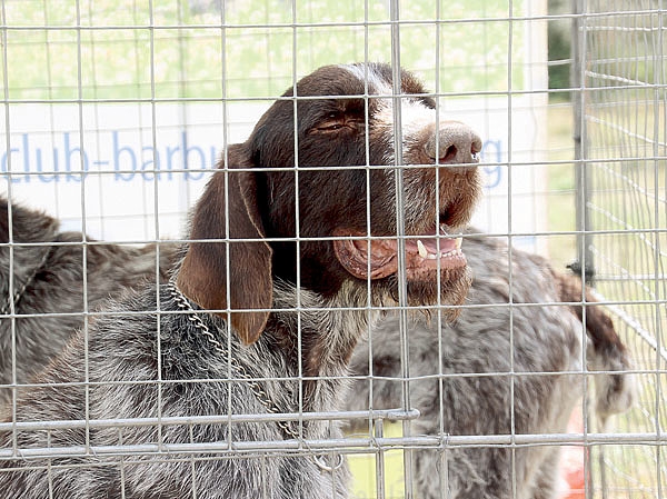 Соло на берегу Ла-Манша