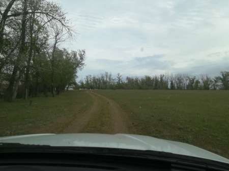 Сплошные приключения на Салу!