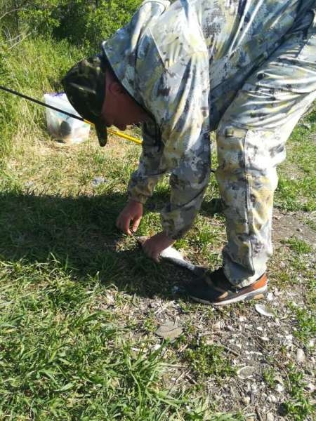 Сплошные приключения на Салу!