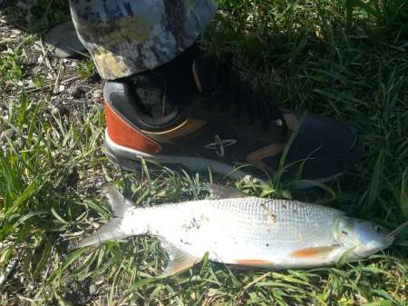 Сплошные приключения на Салу!