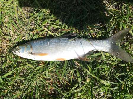 Сплошные приключения на Салу!