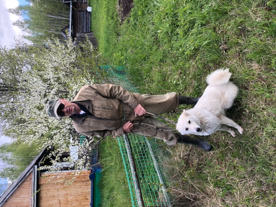 Степа, Стива и вальдшнепы