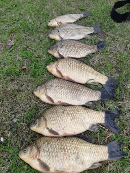 Таких лаптей я ещё не ловил!