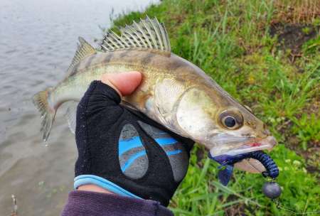 Уловистый рачок Sprut Shiku Уловистый рачок Sprut Shiku