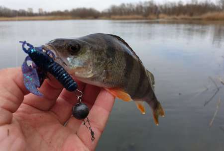 Уловистый рачок Sprut Shiku Уловистый рачок Sprut Shiku