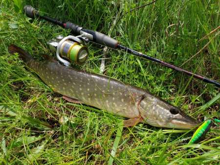 Внезапная рыбалка. За щукой.
