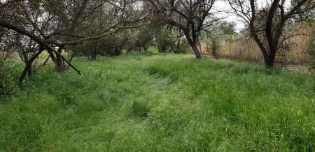 Внезапная рыбалка. За щукой.