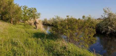 Внезапная рыбалка. За щукой.