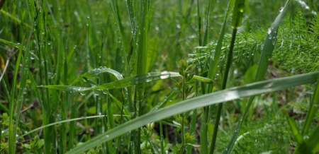 Внезапная рыбалка. За щукой.