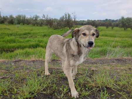 Внезапная рыбалка. За щукой.