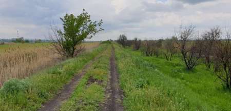 Внезапная рыбалка. За щукой.