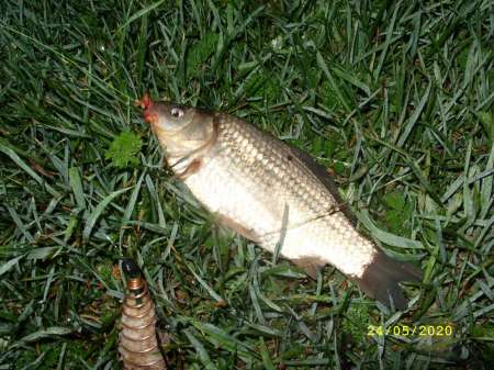 Выезд за карасём на пруд