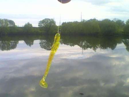 За окунем на уху