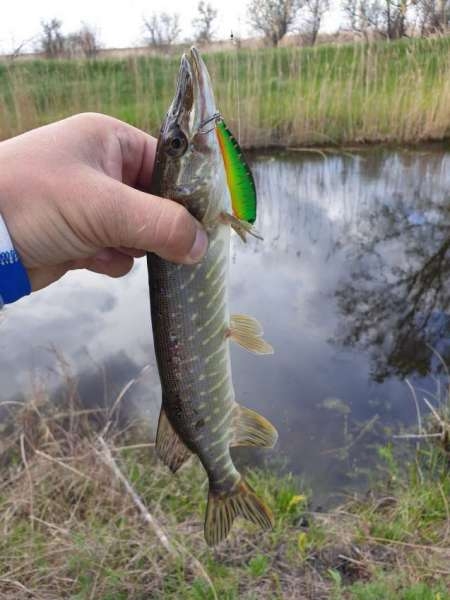 За щукой на каналы