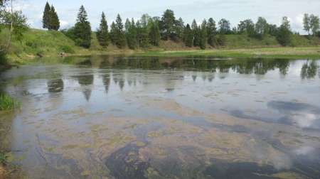 За уклейкой!