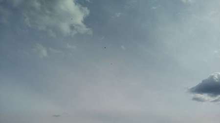 За уклейкой!