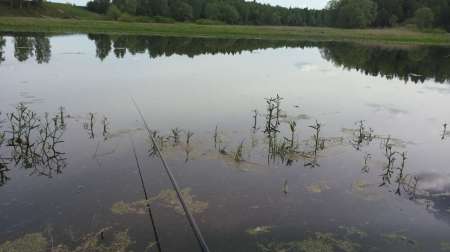 За уклейкой!