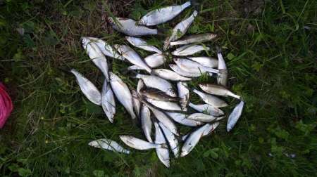 За уклейкой!