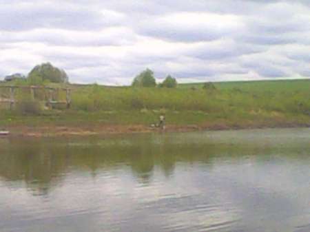 Ждём карася