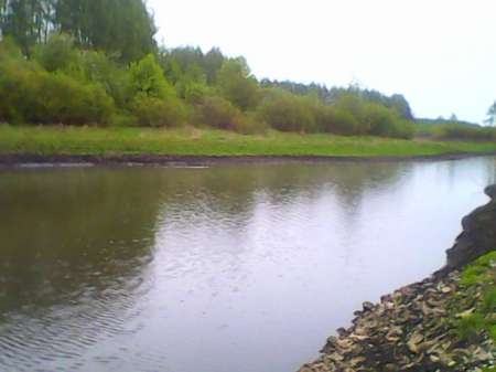 Ждём карася