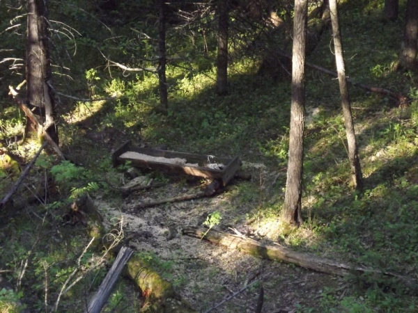 Моя охота на медведя весной 2020г.