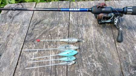 Голавль клюёт на майского жука Голавль клюёт на майского жука