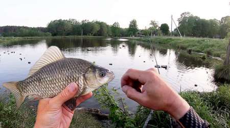 Хитрая снасть на карася