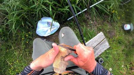 Хитрая снасть на карася