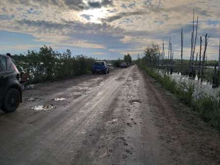 Хитрый карась. Эксперимент удался.