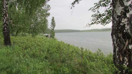 Июньский карась