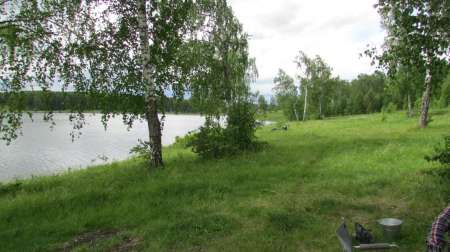 Июньский карась