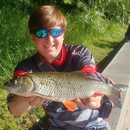 Как я узнаю новости с речки