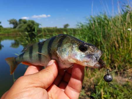 Летний микроджиг