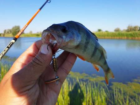 Летний микроджиг