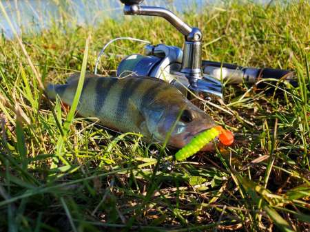 Летний микроджиг