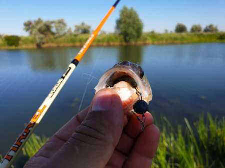 Летний микроджиг