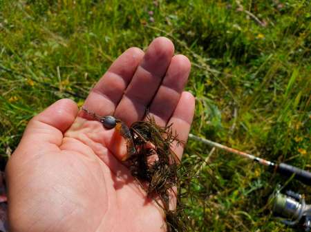 Летний микроджиг